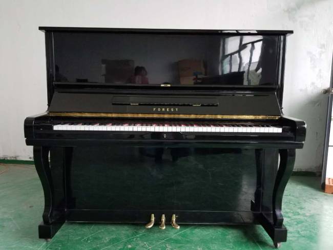 Cửa hàng bán đàn piano Forest giá tốt nhất thị trường
