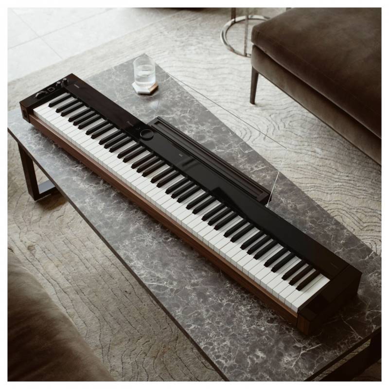 Đàn piano điện Casio PX-S6000